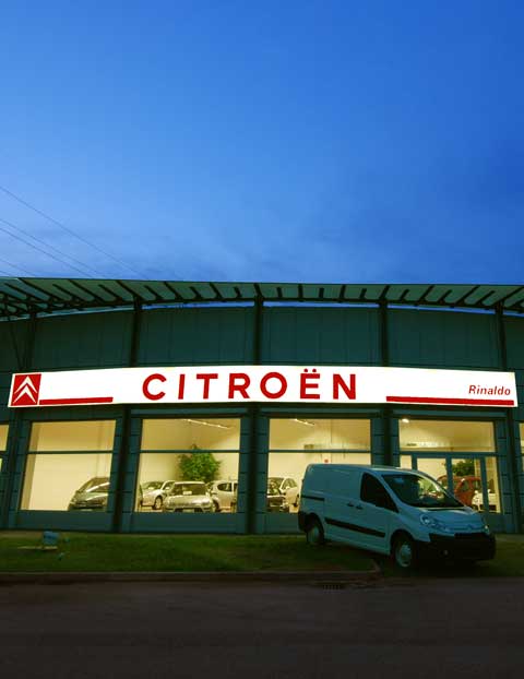 Neonlauro_lightbox-citoren
