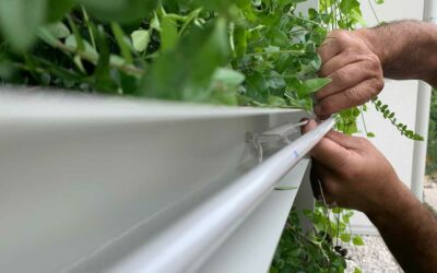 Installazione e manutenzione delle insegne: La chiave per la loro longevità